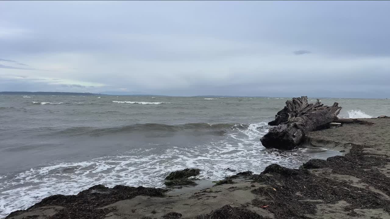 Windy coastal scene near Centennial Beach in Delta, British Columbia, with rough waves crashing onto shore and driftwood resting on the beach. Moody ocean atmosphere under overcast skies