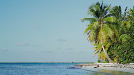 Exotic-scene-with-palms-and-sea-Vacation-in-tropics