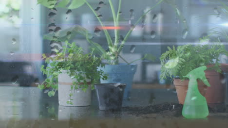 animación de gotas de lluvia sobre plantas de interior en macetas y pulverización de riego