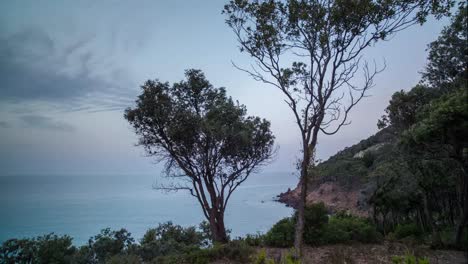 Sardinia-Cliff-Trees-4K-00