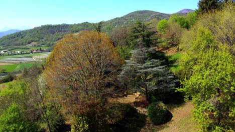 Dron-Trepador-Que-Muestra-Un-Bosque-Italiano-Y-Un-Paisaje-Colorido-Con-Casas-Y-Montañas-Al-Fondo