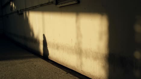 shadows of the walking people on the wall in slow motion