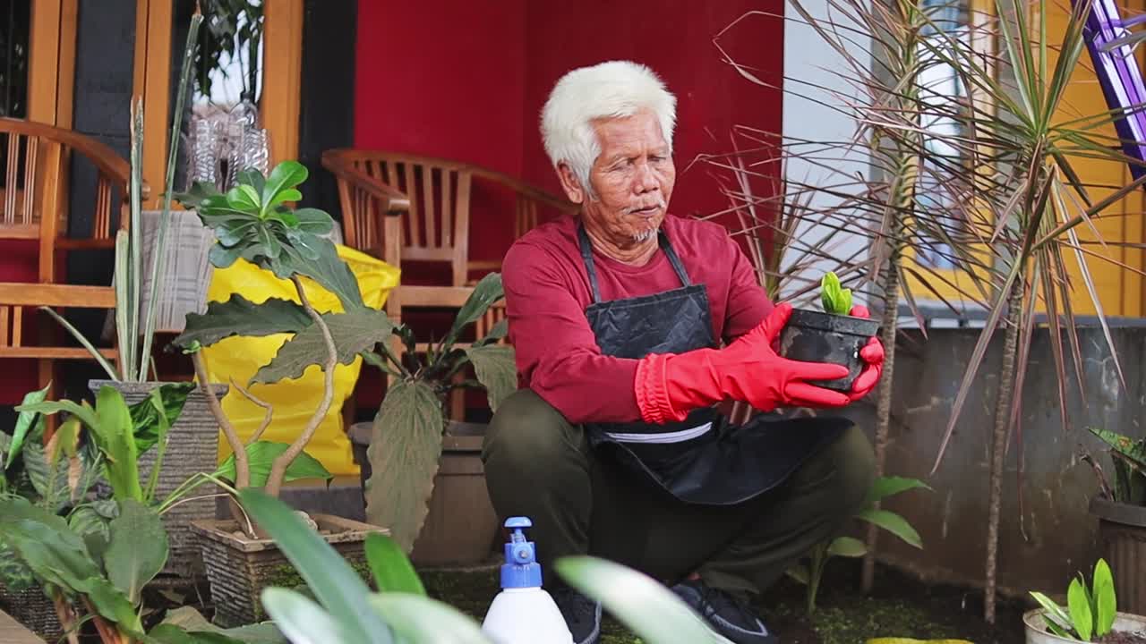 Elderly man with white hair diligently potting plants in front yard