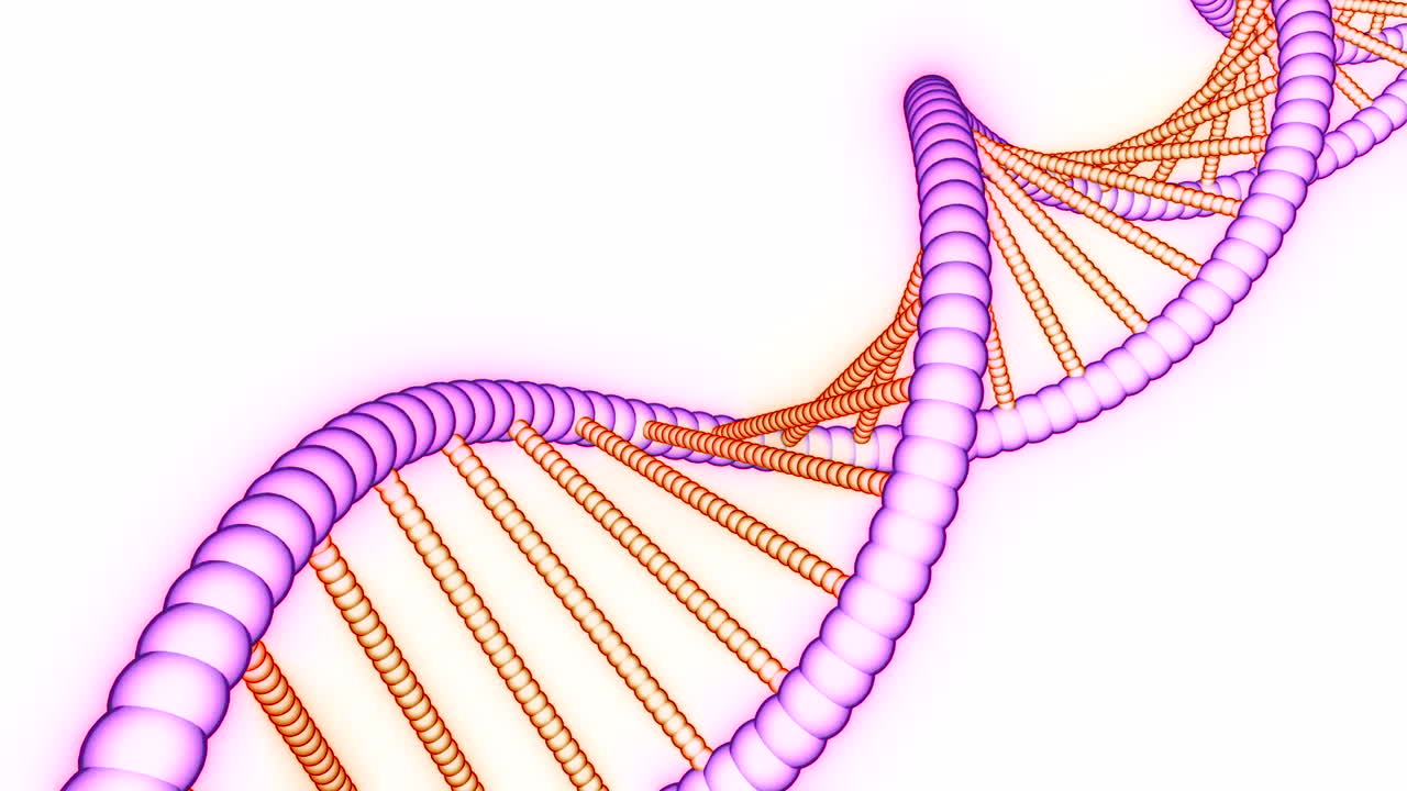 DNA Double Helix
