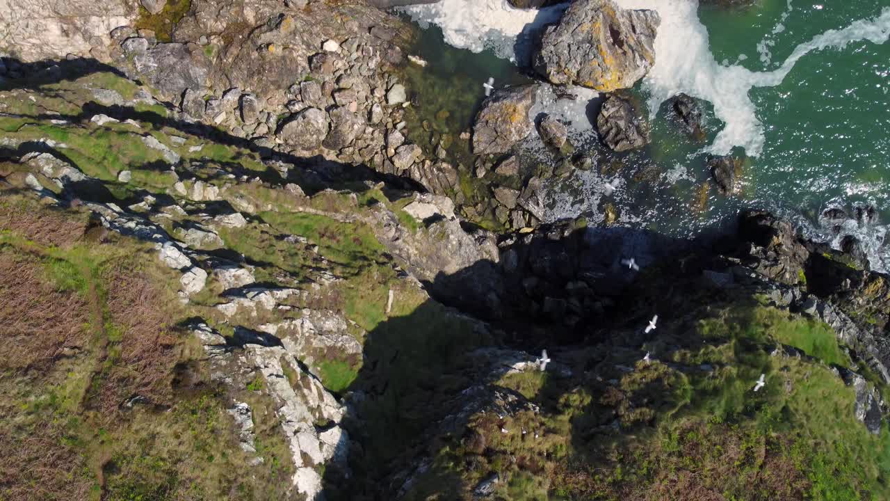 vista aérea, vertical de gaviotas voladoras, salpicaduras de agua y rocas