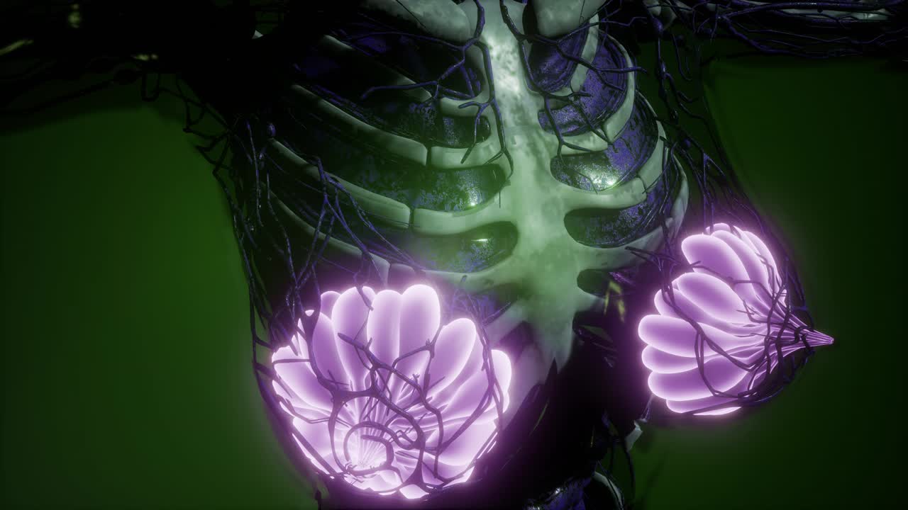 눈에 보이는 빛을 가진 인간의 몸 유방선