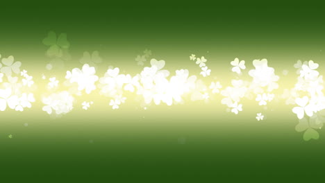 animation saint patricks day with motion green shamrocks 13