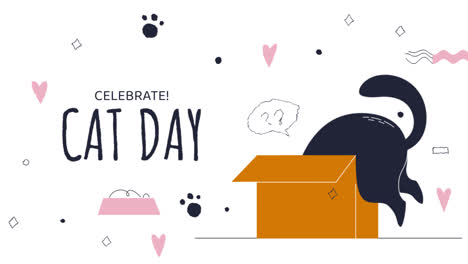 motion graphic of flat international cat day instagram stories collection