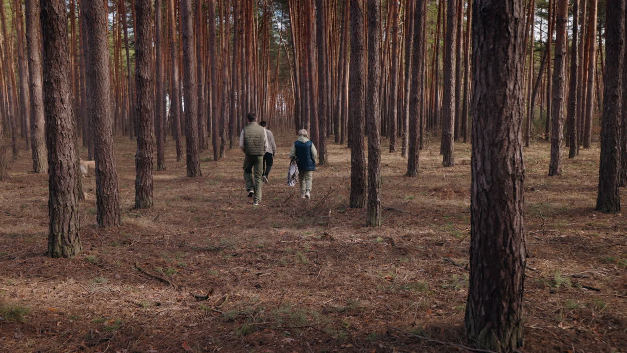 Family Hiking in the Woods