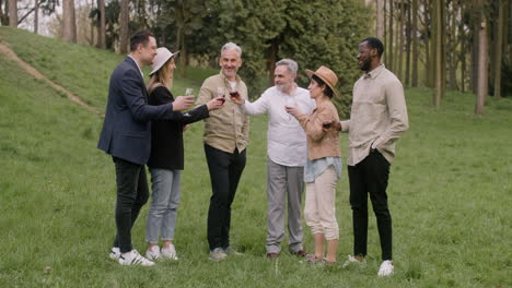 Vista-Lejana-De-Un-Grupo-De-Amigos-De-Mediana-Edad-Parados-En-El-Parque-Y-Brindando-Con-Vino-Durante-Una-Fiesta-Al-Aire-Libre