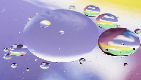 macro shot of colorful shiny bubbles and rainbow colors