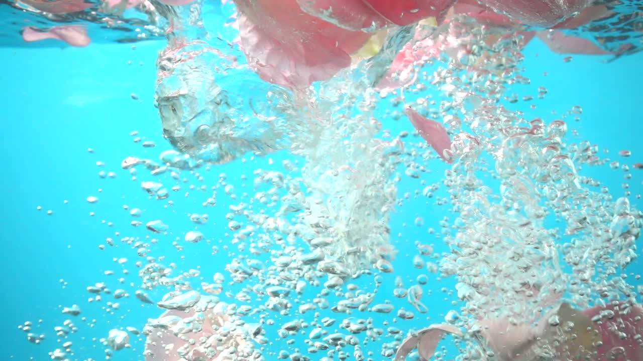 Pétalos de rosas caen en el agua. Fondo. Cámara lenta