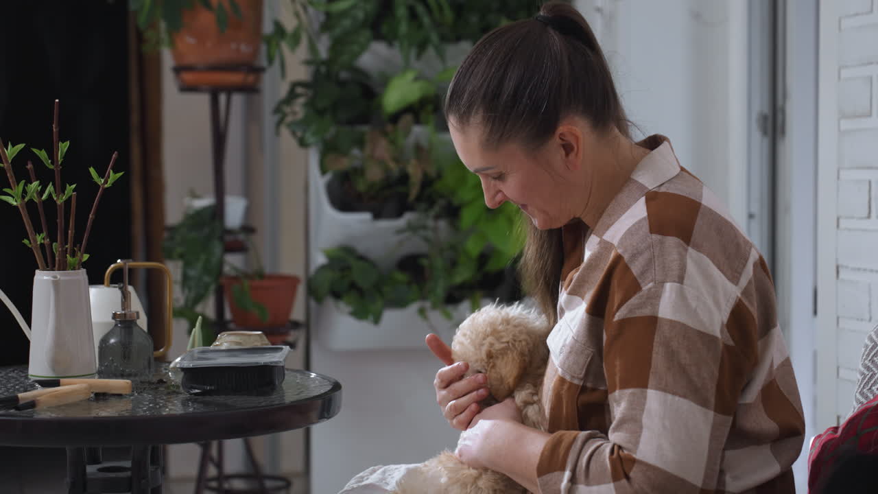 Side view of lady seated on sofa in cozy living room petting Tibetan terrier puppy while talking softly and smiling near glass table with plant and disposable tray on background wall decor