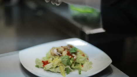 fresh salad plate with shrimp. fresh salad with seafood and green leaves