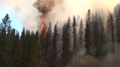los bomberos provocan petardeos mientras luchan contra un incendio forestal 1