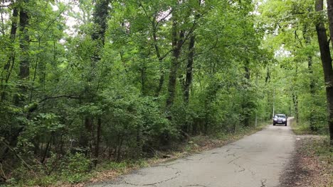 blue car suv driving through green forest and thin country road, passing by