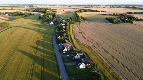 hässlunda, suecia: video aéreo en cámara lenta de drones de las casas locales en los campos abiertos al amanecer
