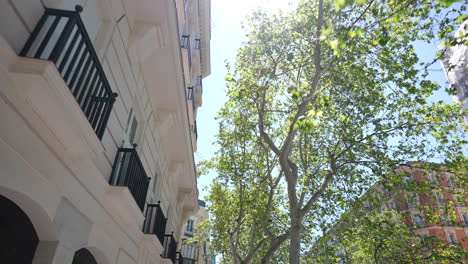 Sunlight streams through the vibrant green canopy of trees lining a street, casting dappled shadows on a pristine white building with elegant balconies
