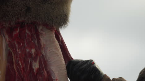 gros plan d'un chasseur avec des gants coupant la viande d'un cerf mort