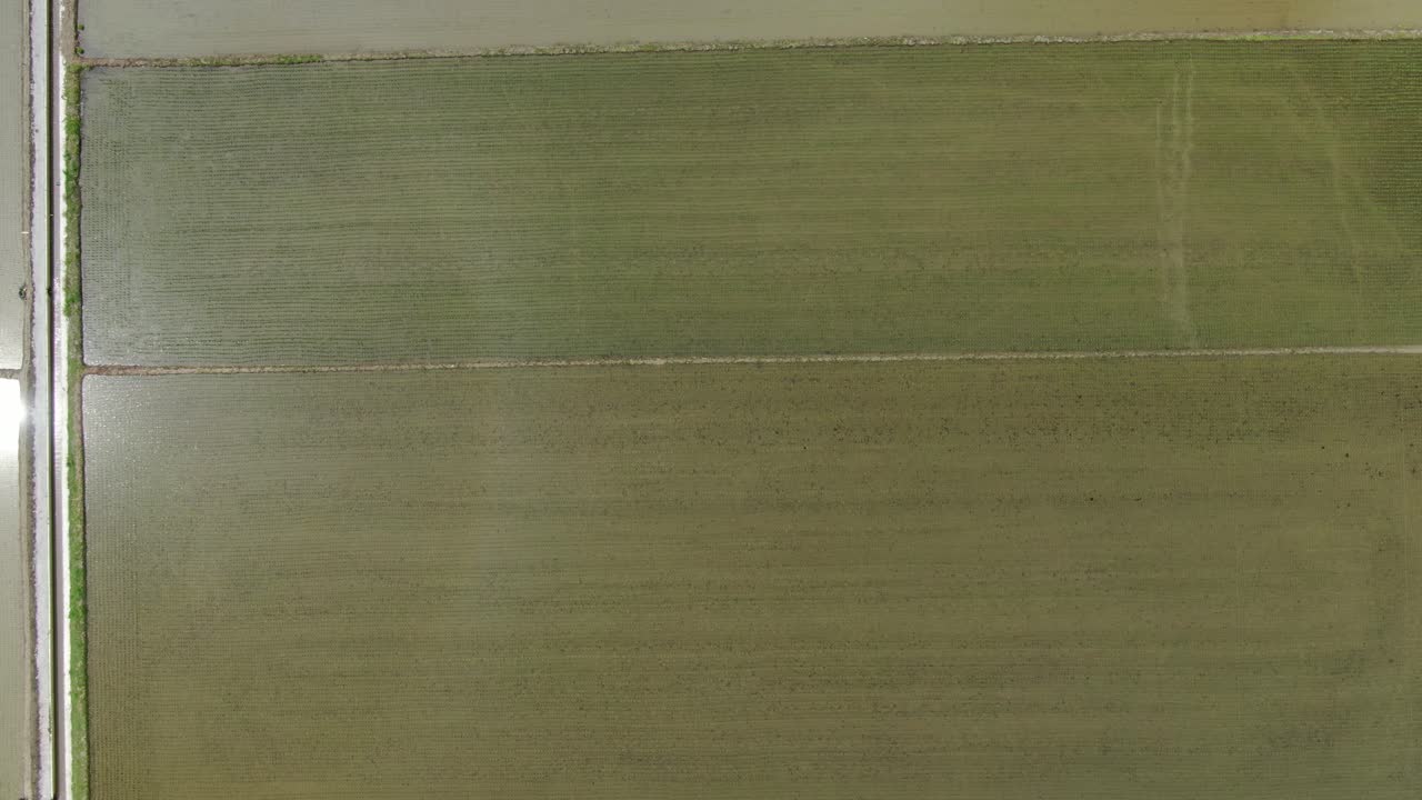 네모난 논, 인천