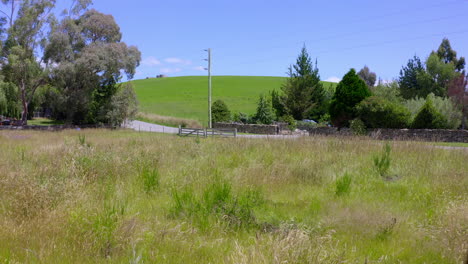 Drone-flying-very-close-over-an-old-abandoned-antique-steel-truck-in-a-green-field-on-a-summers-day-in-New-Zealand-with-trees-and-blue-sky