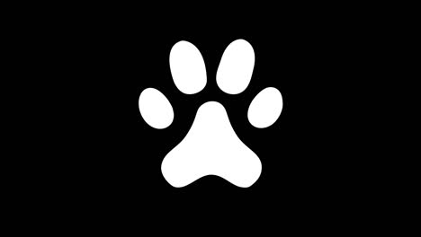 animated animal paw icon. alpha channel, 4k