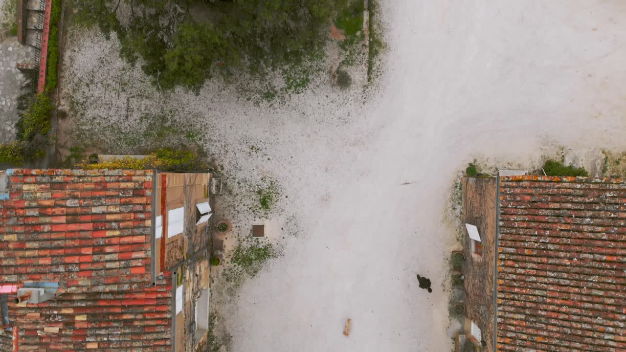 Aerial top-down shot of a person walking a dog across a light gravel courtyard between rustic buildings with tiled roofs