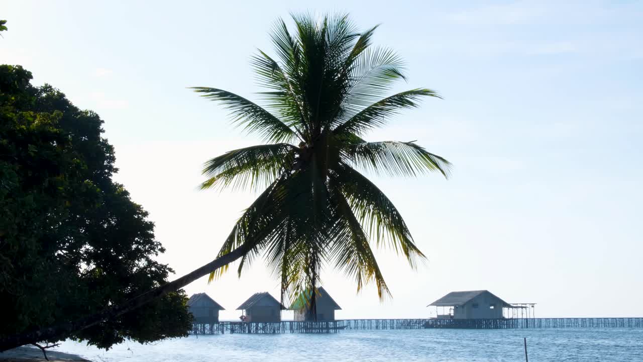 Exotic, scenic landscape view of coconut palm tree fluttering in breeze with wooden beach huts overlooking ocean water on tropical island in Raja Ampat, West Papua, Indonesia