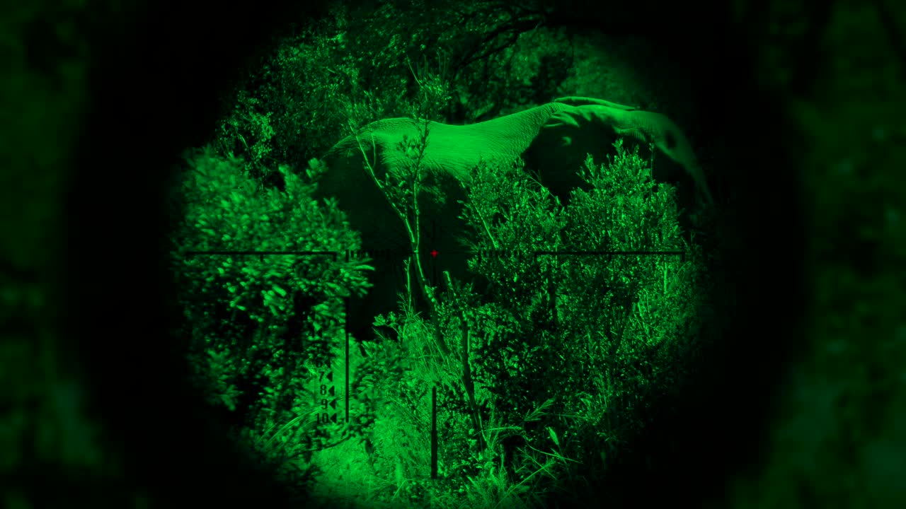 elefante siendo cazado furtivamente por la noche por un cazador