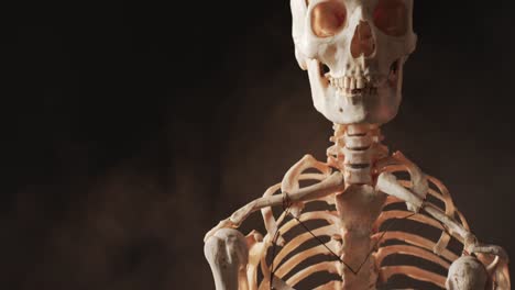 Video-of-close-up-of-halloween-skull-and-skeleton-and-copy-space-on-black-background