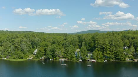 Aerial-drone-tilt-up-shot-of-green-tree-forest-during-spring-time-at-daytime