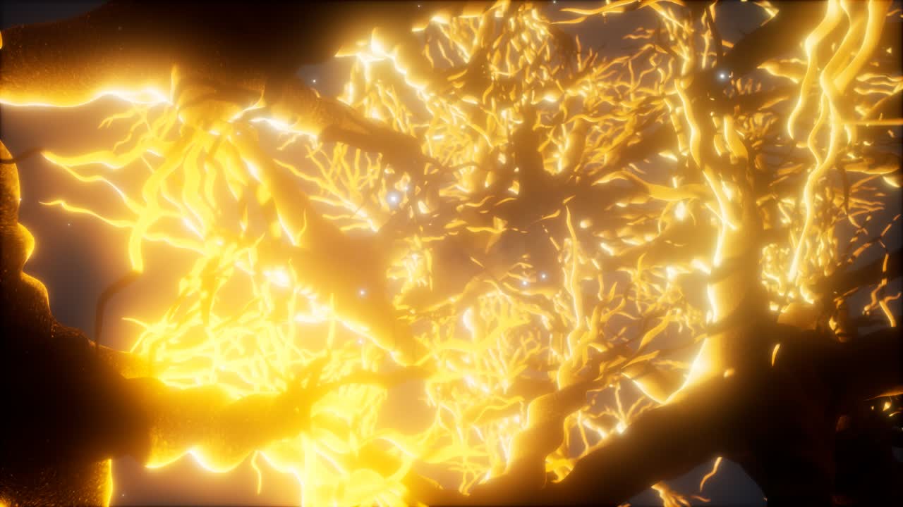 뇌 안의 신경 세포 네트워크를 통해 여행합니다.