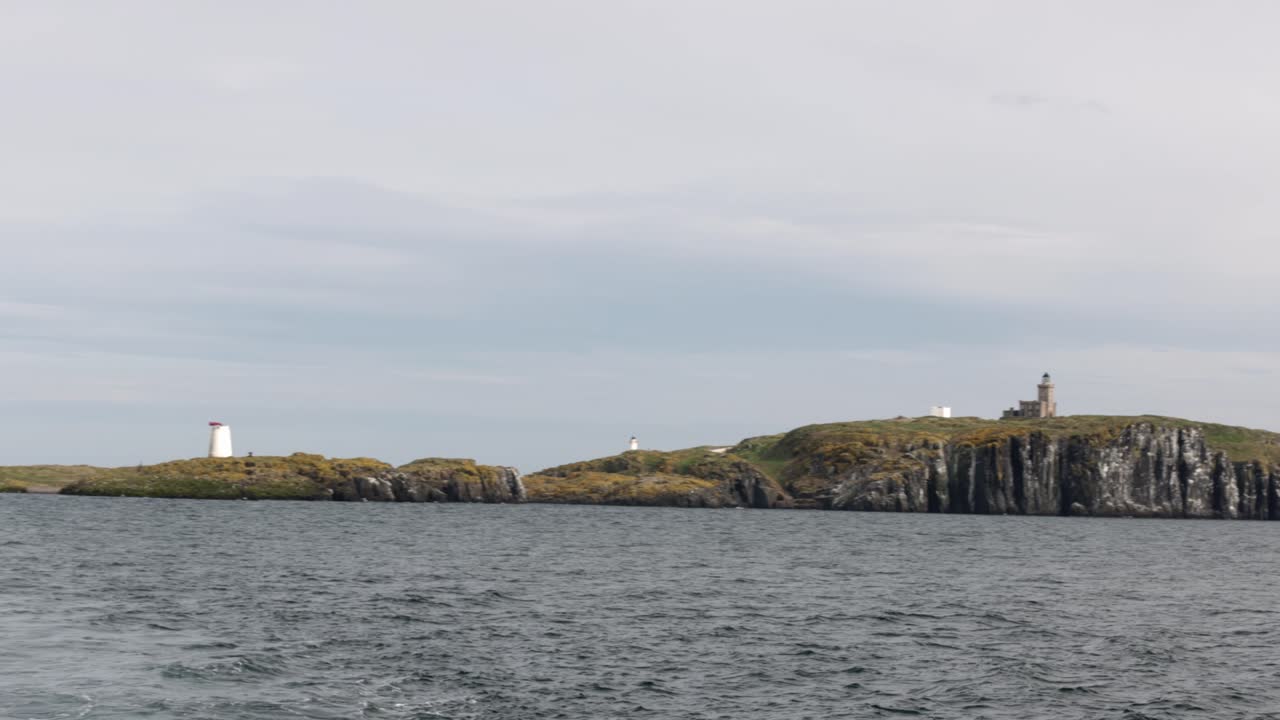 establishing shot of the Isle of May where seabirds go to breed during the season