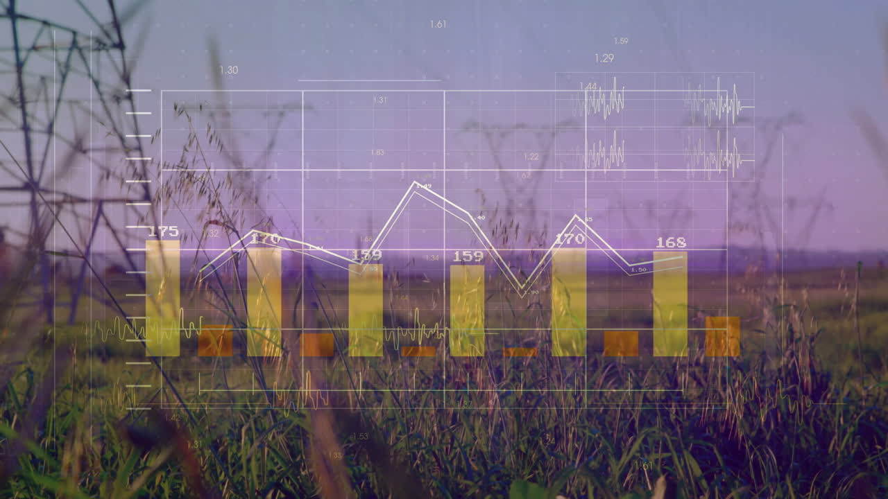 Bar and line graph animation over grassy field at sunset