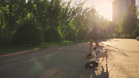 man skateboarding with his dog in a park at sunset