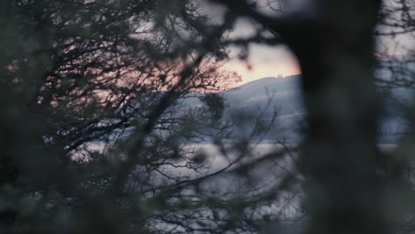 distant land seen through blurry trees