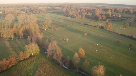 Wide-aerial-view-of-Godinton-House-and-parkland-located-in-Ashford,-Kent,-UK