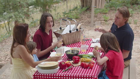 Kaukasische-Familie,-Die-Ihre-Gläser-Beim-Picknick-Im-Wald-Hebt