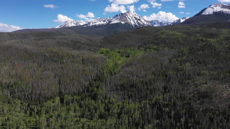 aerial drone scenic landscape of pine tree forest with snow capped colorado rocky mountains in the distance