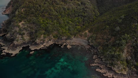 Coastal-rocky-cliff-aerial-reveal-of-forested-mountains-in-untouched-New-Zealand