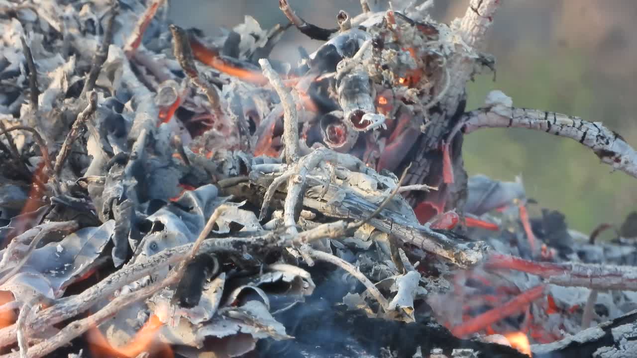 - 불 연기 - yassh