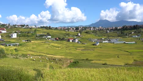 a view of the rice field terraces with a small town in the background with the himalaya foothills in nepal