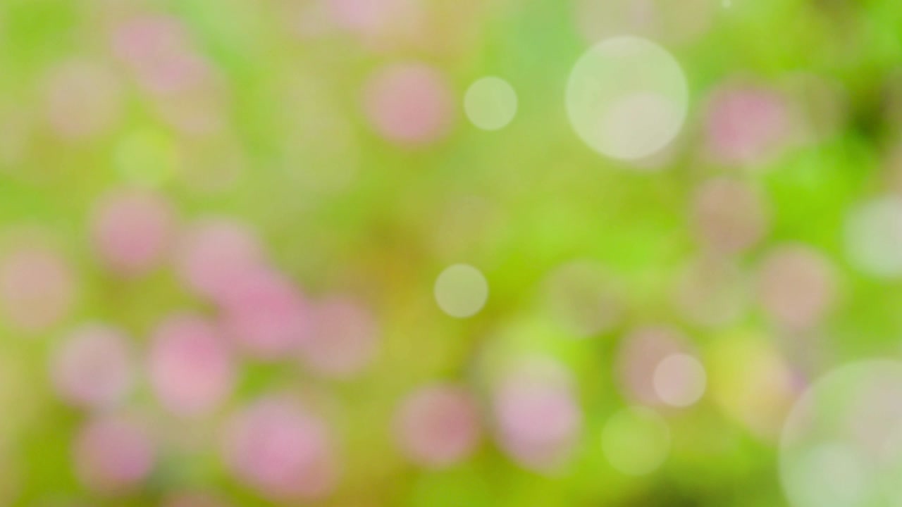 fondo de resorte abstracto con bokeh