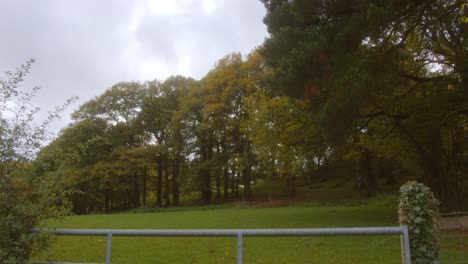slow zoom rural scene including trees and gate, autumnal colours
