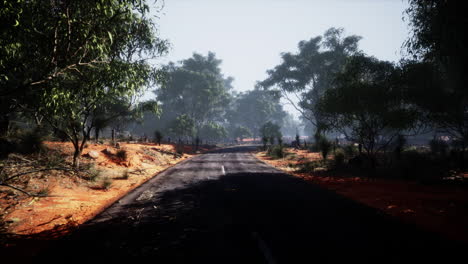 road leading over small hills in australian bush landscape