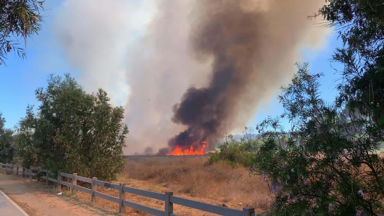 산불 hd에서 큰 불꽃