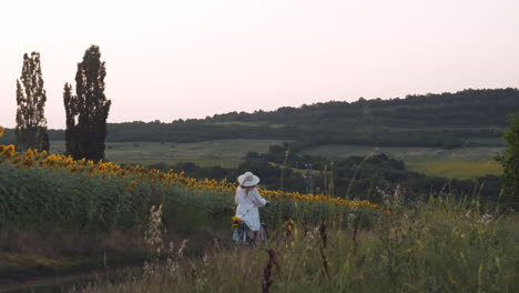 Sunflowers-at-golden-hour-girl-in-white-dress-bike-rides-in-idyllic-scenery