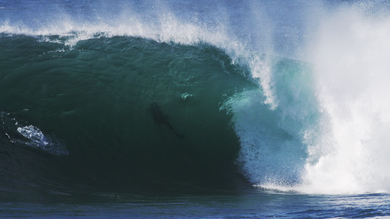 Backlit wave builds into a barrel with textured mist and glowing energy