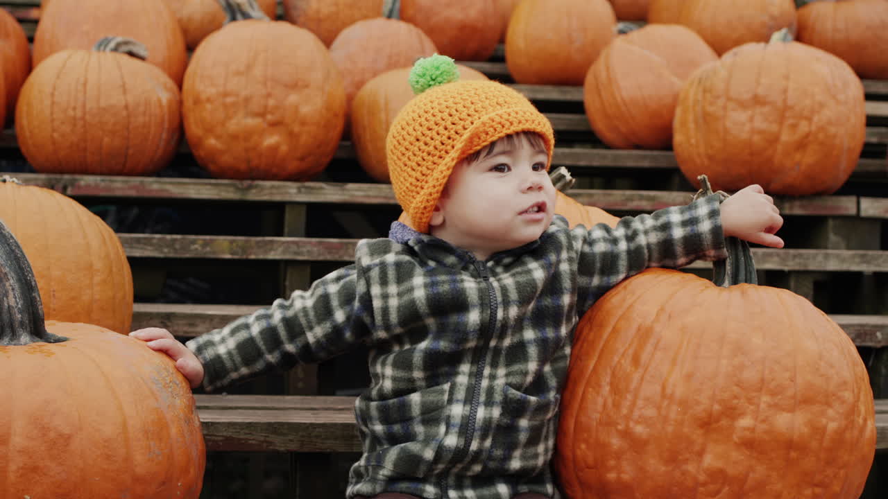 쾌활 한 아이 는 호박 의 줄 들 사이 에 있는 벤치 에 앉아 있다. 할로윈 의 명예 로 가을 박람회
