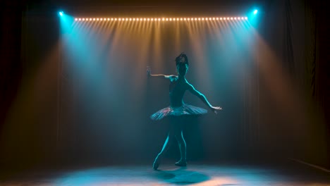 Silhouette of a graceful ballerina in a chic image 2023 11 27 04 55 44 utc.mov | action, alone, art, ballerina